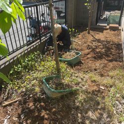 柏の藤心の除草シート張りの画像1