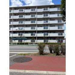 階段作業には自信があります！！の画像1