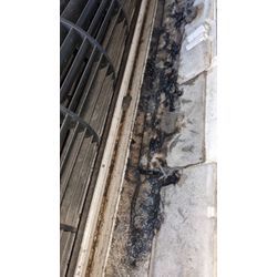 シャープお掃除機能付き、背抜き完全分解🥶の画像2