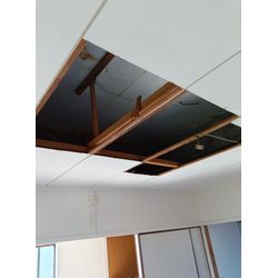 天井の部分張り替えの画像2