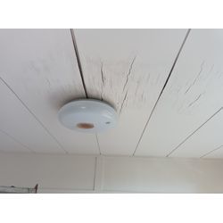 天井の部分張り替えの画像1