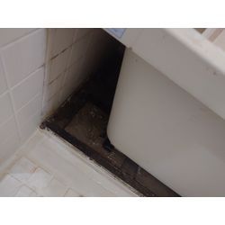 4月まだまだの画像1