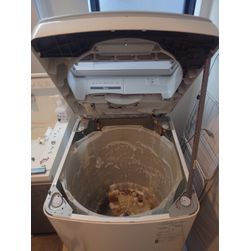 4月まだまだの画像3