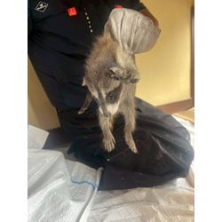 ☾°̥࿐໒꒱スタッフ　ブログ ⡱☾°̥࿐໒꒱　暖かくなってきましたね！の画像2