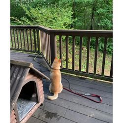 体力つくりの画像1