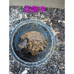 前橋市H様宅清掃の画像2