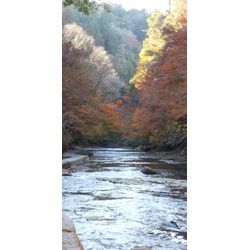 もみじ狩りの画像3