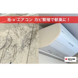 ペットの毛と湿気で起きるカビとニオイの画像1