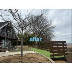 強風対策も万全！法面活用×樹脂フェンス施工事例の画像2