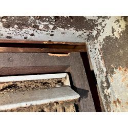 兵庫県にてネズミ被害駆除防除対策を行いました。の画像2