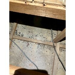 兵庫県にてネズミ被害駆除防除対策を行いました。の画像1