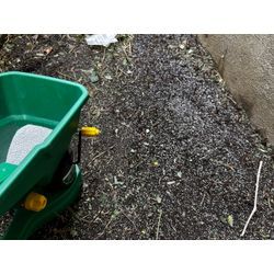 【杉並区】顆粒状の除草剤　2025年7月18日の画像3