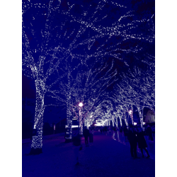 宅急便の受け取りから買い物までの画像1