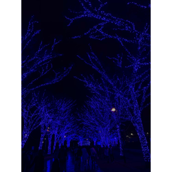 宅急便の受け取りから買い物までの画像2