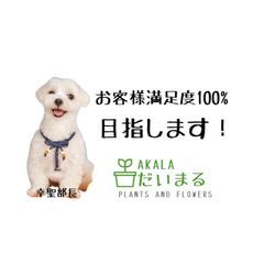 はじめましての画像1