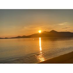 初めての依頼にドキドキの画像1