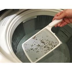 糸くずフィルター掃除してますか？の画像3