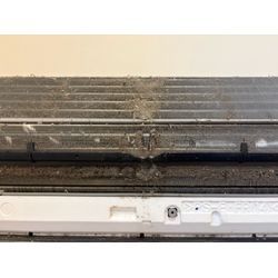 キレイな空気が健康維持には不可欠ですの画像2