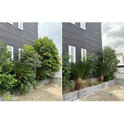 「あの木、どうしよう…」と思ったら　秋のお庭じまいの季節ですの画像1