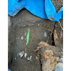 「あの木、どうしよう…」と思ったら　秋のお庭じまいの季節ですの画像2