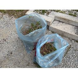 お墓のお掃除をさせていただきましたの画像3