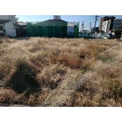 造成前草刈の画像1