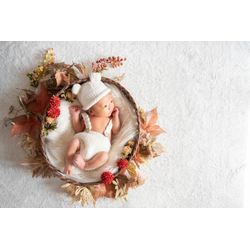 【紅葉と秋の花】ニューボーンフォトお花のお色目見本（双子ちゃん写真あり）の画像2