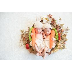 【紅葉と秋の花】ニューボーンフォトお花のお色目見本（双子ちゃん写真あり）の画像3