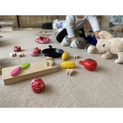 おもちゃの片づけは 最高の教育  ママが頑張りすぎない 自立を育てる仕組みの画像1