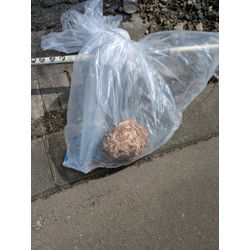 最近の空き家の管理からの画像3