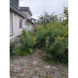 最近の空き家の管理からの画像1