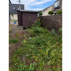 最近の空き家の管理からの画像2