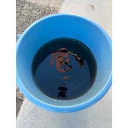 初めてのクリーニングもぜひ！の画像3