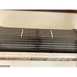 初めてのクリーニングもぜひ！の画像1