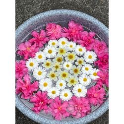 口コミありがとうございます🤗の画像1