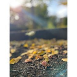 口コミありがとうございます🤗の画像2