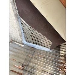 ☆千葉県柏市からアライグマ駆除のご依頼の画像1