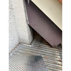 ☆千葉県柏市からアライグマ駆除のご依頼の画像2