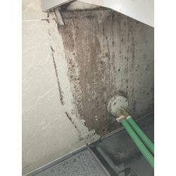 【見えないカビ】の画像1