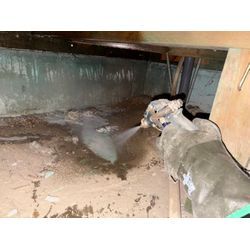 シロアリ駆除の画像2