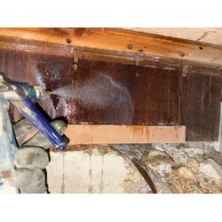 シロアリ駆除の画像1