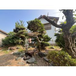 空き家伐採の画像1