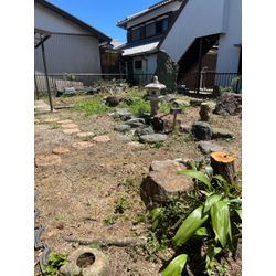 空き家伐採の画像2