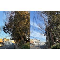 静かな冬の現場から、春へのバトンの画像1