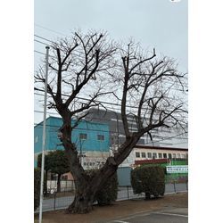 静かな冬の現場から、春へのバトンの画像2