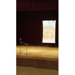 ギター漫談の画像2