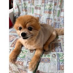 うめちゃん初対面の画像1