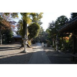 久伊豆神社(武州岩槻総鎮守)に七五三撮影で伺いました📸の画像1