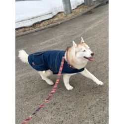 【4月大盛況・満員御礼のご報告】の画像1