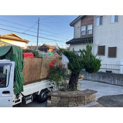 津市　伐採の画像3